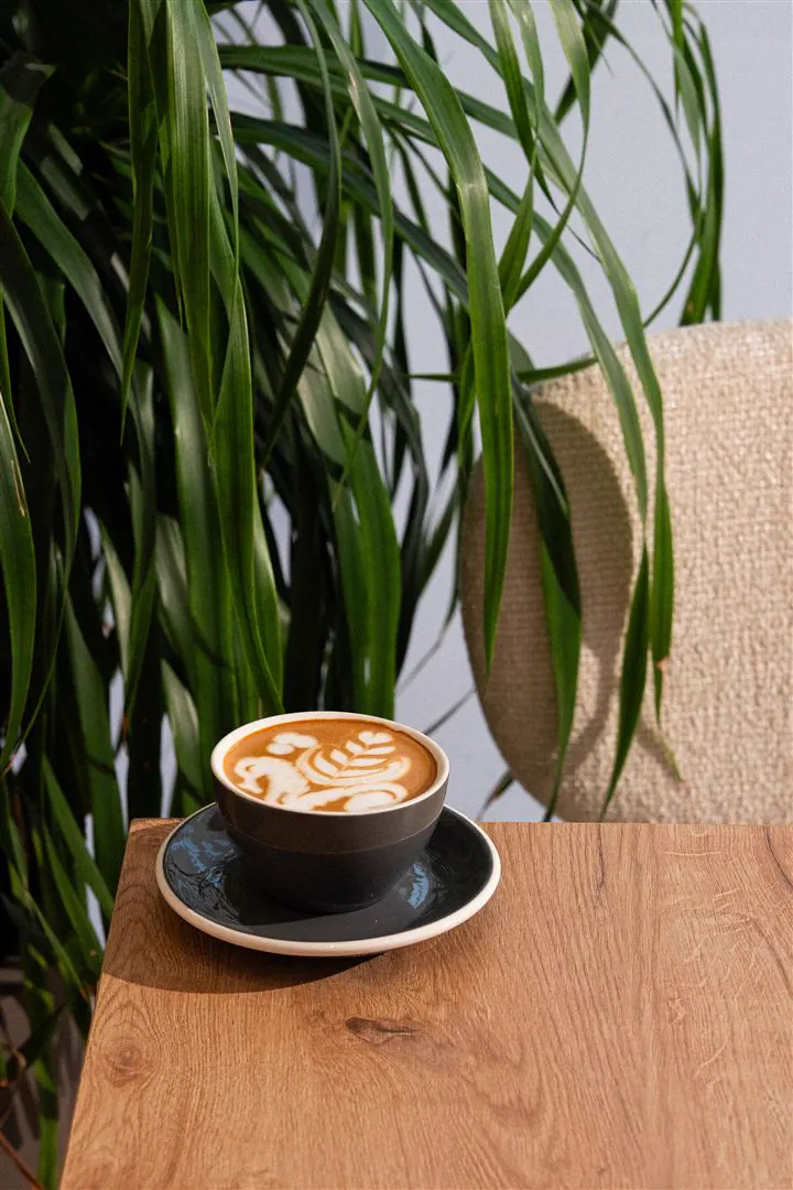 The Perk Cafe: a latte on a wooden counter